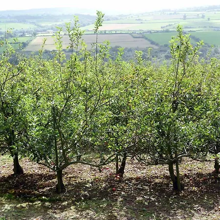 Semesterbostad 3 Bed In Lismore Oc-ii07013